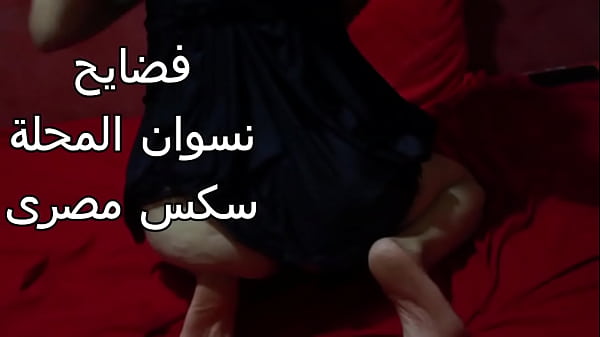 مصريه شرموطة طيزها ضخمة عايزة تتناك بقوة