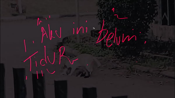 Ayo Bermain