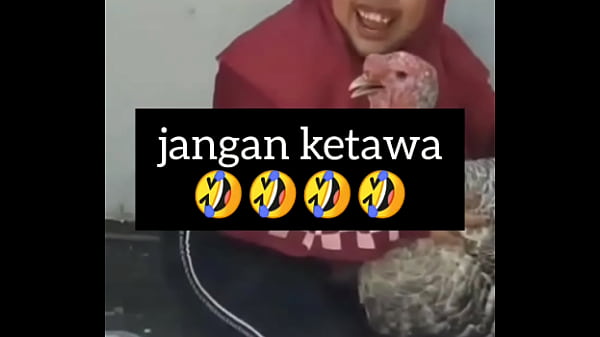 Gadis Montok Ngakak Sambil Ngeloyor Gairah